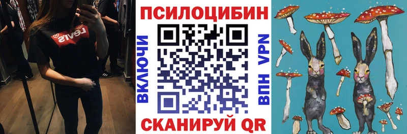 Галлюциногенные грибы ЛСД  кракен ссылки  Елец 